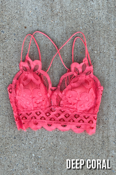 Sweet Muse Scallop Lace Bralette in Deep Coral