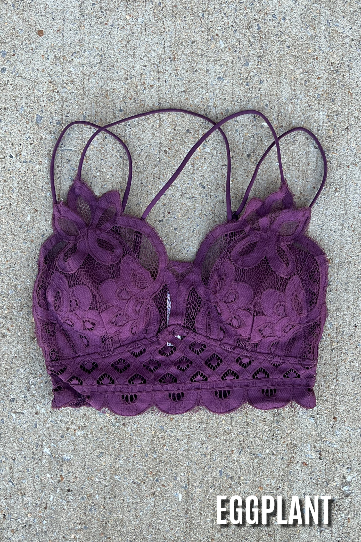 Sweet Muse Scallop Lace Bralette in Eggplant