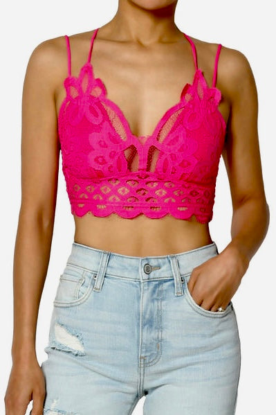 Sweet Muse Scallop Lace Bralette in Fuchsia