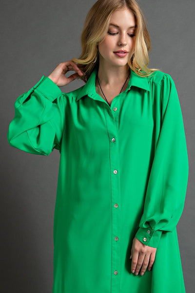 Found My Forever Button Down Wool Dobby Dress in Kelly Green